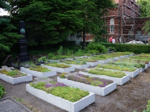 Bytom-Miechowice Cmentarze ewangelickie