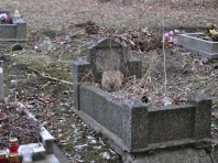 DSC0053