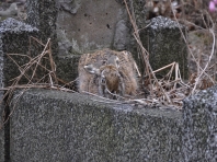 DSC0055
