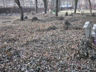 DSC0061