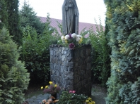 image009