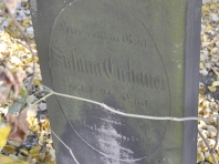 image183