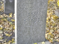 image195