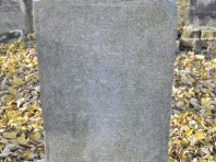image203