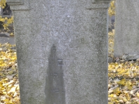 image204