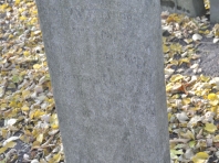 image207