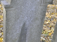 image224