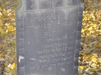 image300