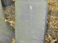 image301