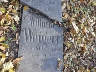 image325