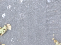 image327