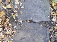 image350