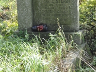 image025
